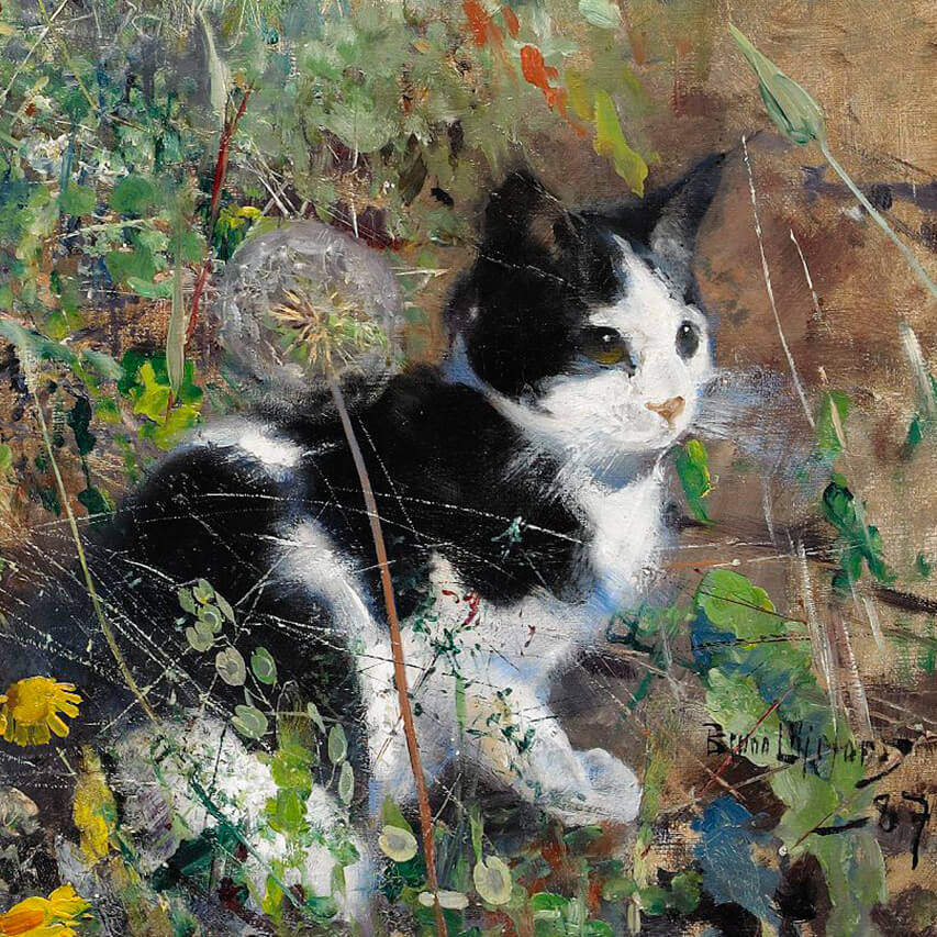 Bruno Liljefors-Cat on flowerbed_1920x1080_d