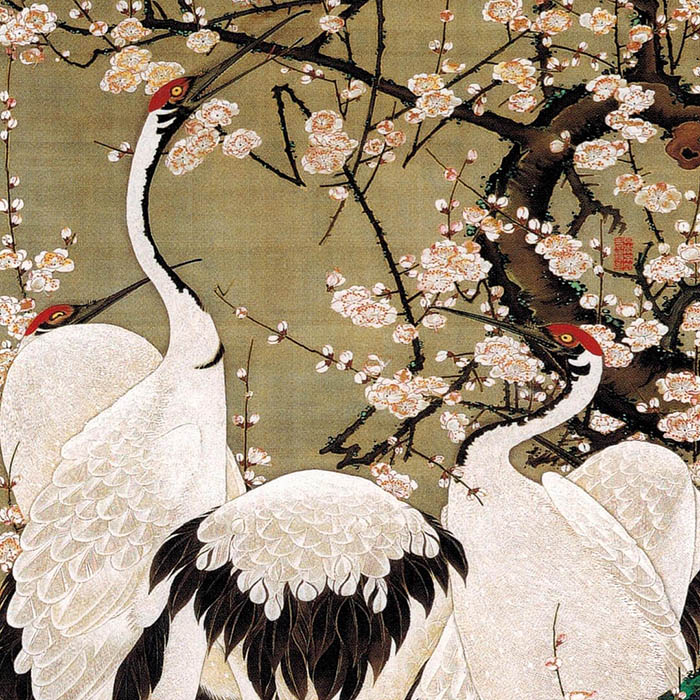伊藤若冲 動植綵絵 の内 梅花群鶏図 壁紙ギャラリー Kagirohi