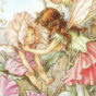 Cicely Mary Barker – sweet pea fairies d
