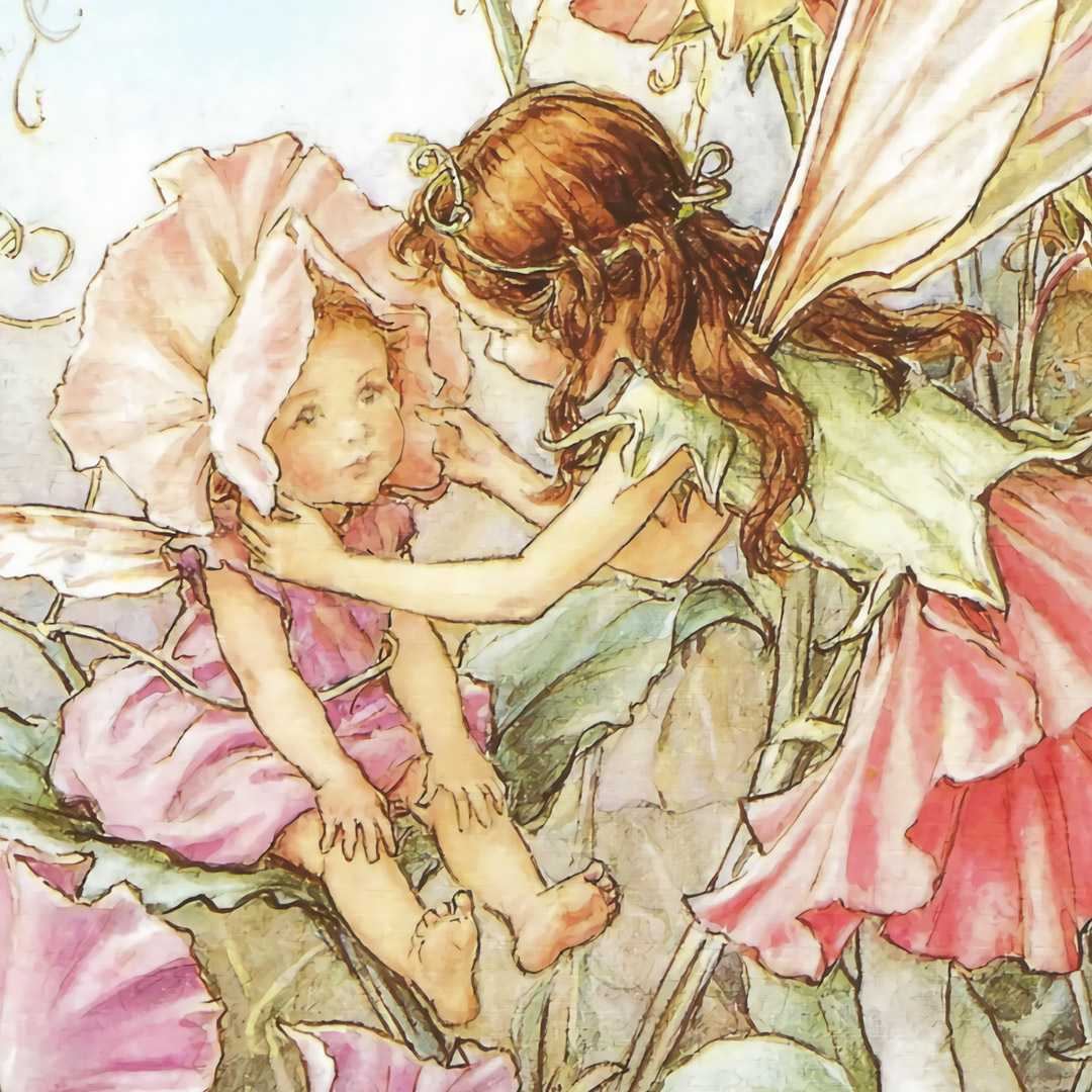 シシリー メアリー バーカー Sweet Pea Fairies 壁紙ギャラリー Kagirohi