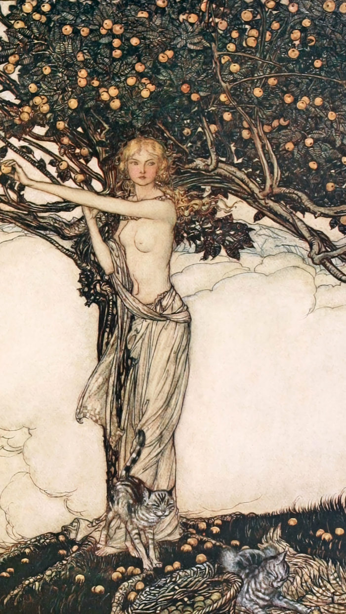Arthur Rackham - The Rhinegold and the Valkyrie 1080x1920