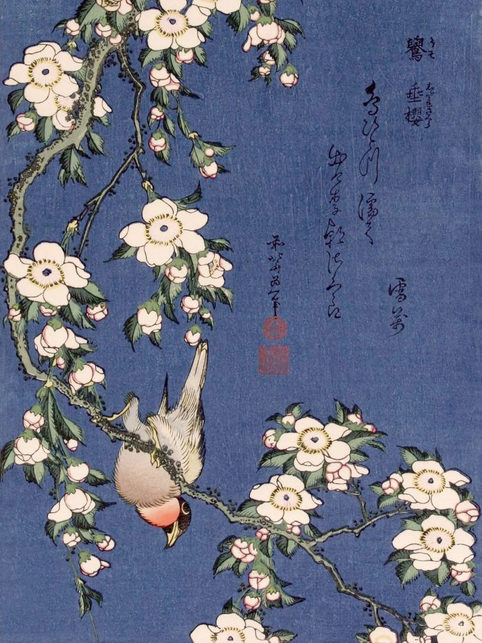 Katsushika Hokusai - Uso ni shidare sakura 2048x2732