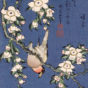 Katsushika Hokusai – Uso ni shidare sakura d
