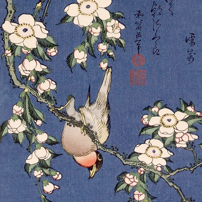 葛飾北斎 / 鷽に垂桜 | 壁紙ギャラリー KAGIROHI