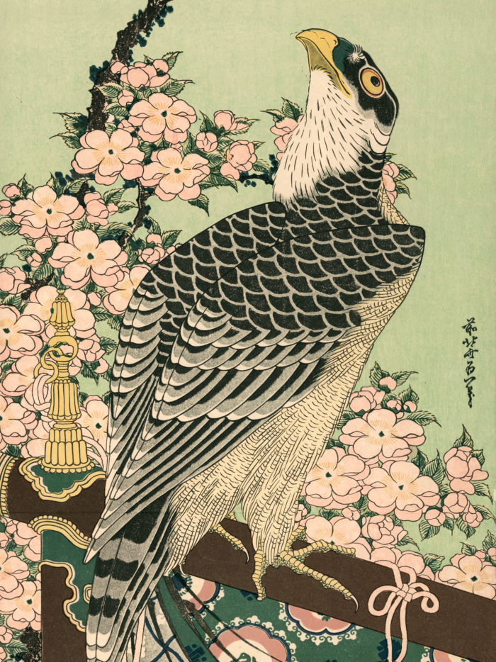 Katsushika Hokusai - Ouka ni taka 2048x2732